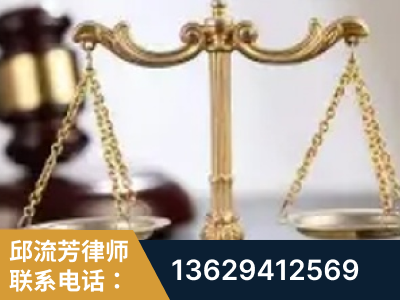 平度-委托诉讼代理人出庭